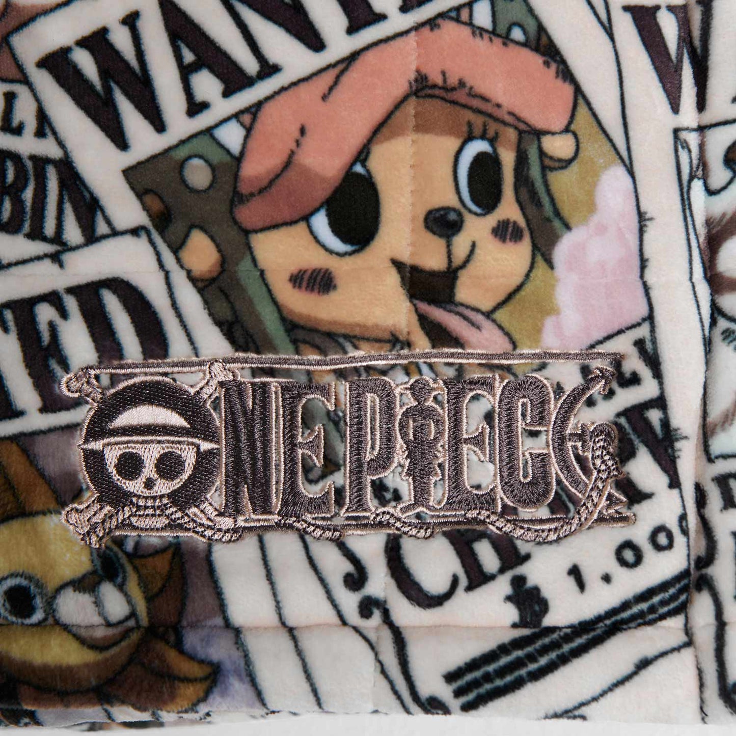 ONE PIECE Wanted Poster