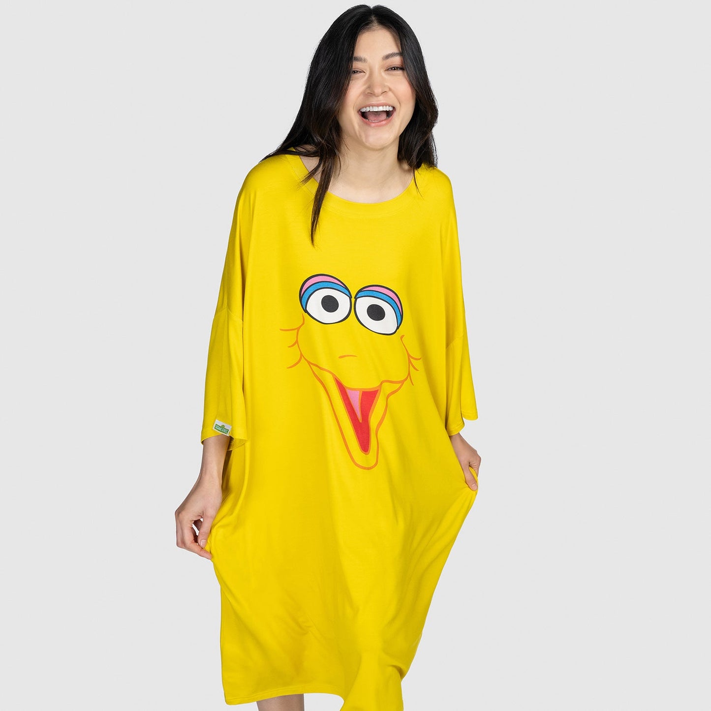 Sesame Street Big Bird