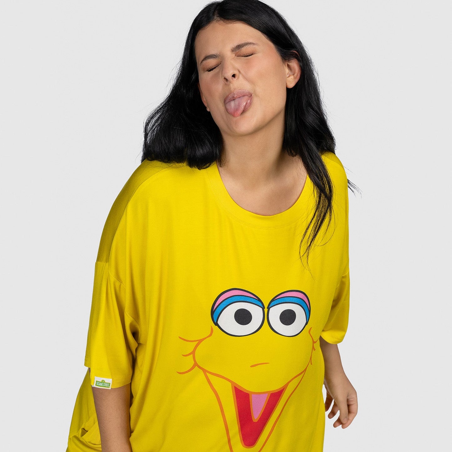 Sesame Street Big Bird