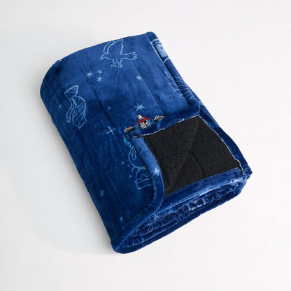 Harry Potter Ravenclaw