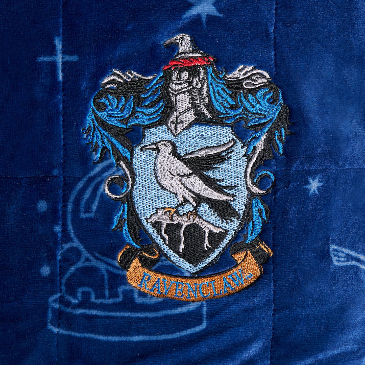 Harry Potter Ravenclaw