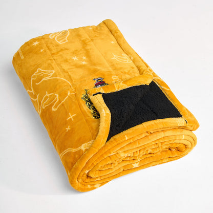 Harry Potter Hufflepuff