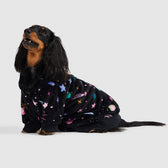 Black Space Dog Oodie
